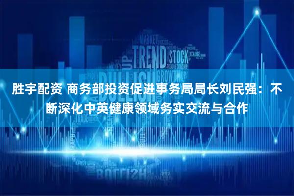 胜宇配资 商务部投资促进事务局局长刘民强：不断深化中英健康领域务实交流与合作