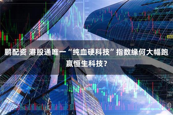 鹏配资 港股通唯一“纯血硬科技”指数缘何大幅跑赢恒生科技？